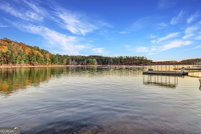 property view of water with a boat dock