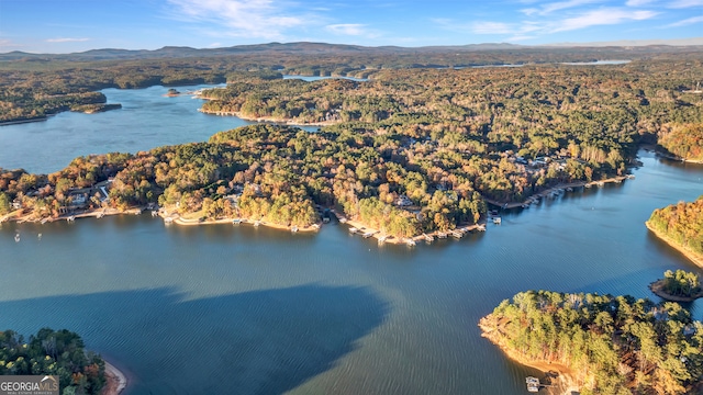 birds eye view of property with a water and mountain view