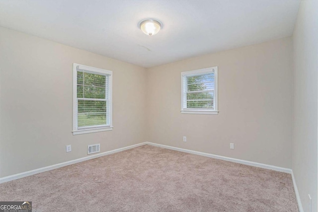 carpeted spare room with a wealth of natural light