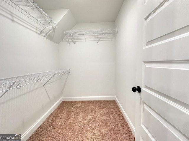 spacious closet with carpet