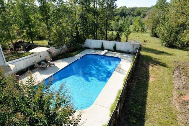 view of pool featuring a lawn and a patio