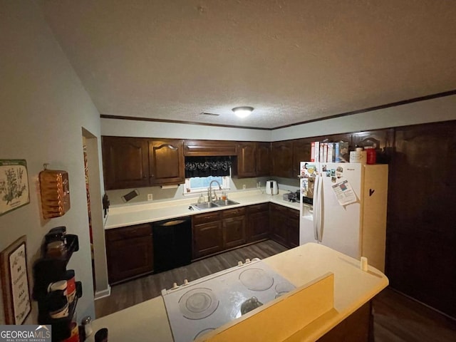 kitchen with sink, dark hardwood / wood-style floors, a textured ceiling, white appliances, and dark brown cabinets