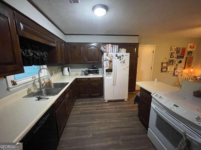 kitchen featuring sink, dark hardwood / wood-style flooring, a textured ceiling, white appliances, and dark brown cabinets