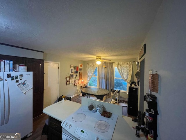 dining room featuring ceiling fan, wood-type flooring, and a textured ceiling