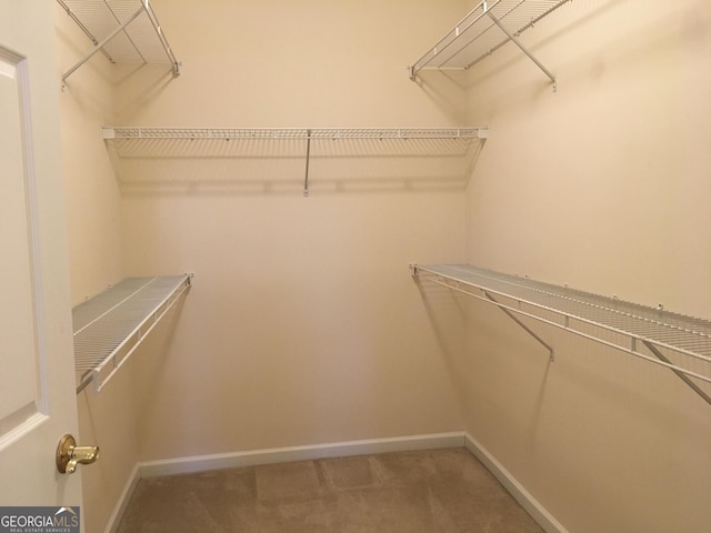 walk in closet with carpet