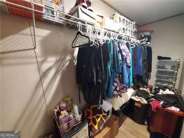 walk in closet with wood-type flooring