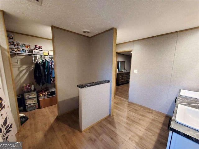 spacious closet featuring light hardwood / wood-style flooring and sink