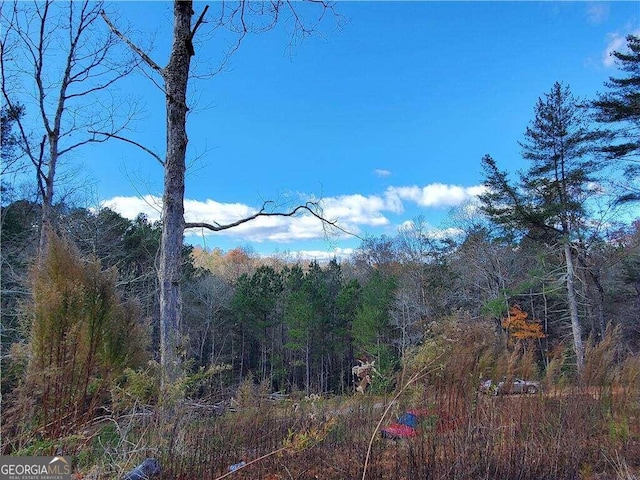 view of local wilderness