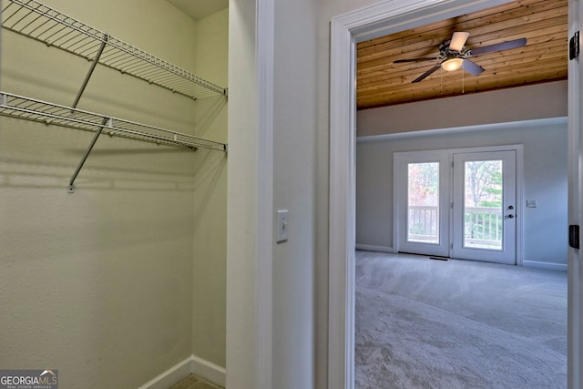 4502 Ramsay Dr, Hiawassee, GA 30546 - view of closet
