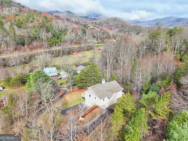 4502 Ramsay Dr, Hiawassee, GA 30546 - view of subject property with a forest and a mountainous background