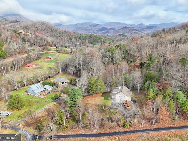 4502 Ramsay Dr, Hiawassee, GA 30546 - aerial overview of property's location with mountains and a heavily wooded area