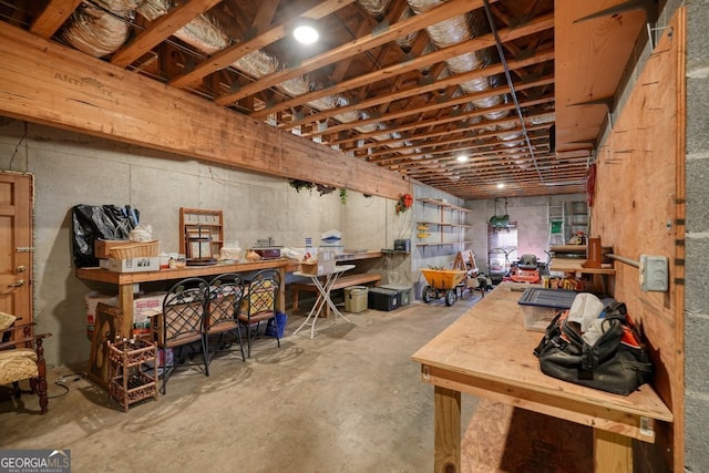 basement featuring a workshop area