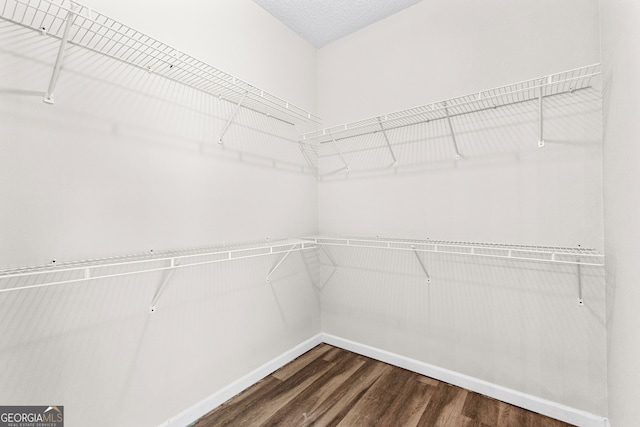 spacious closet featuring dark hardwood / wood-style floors