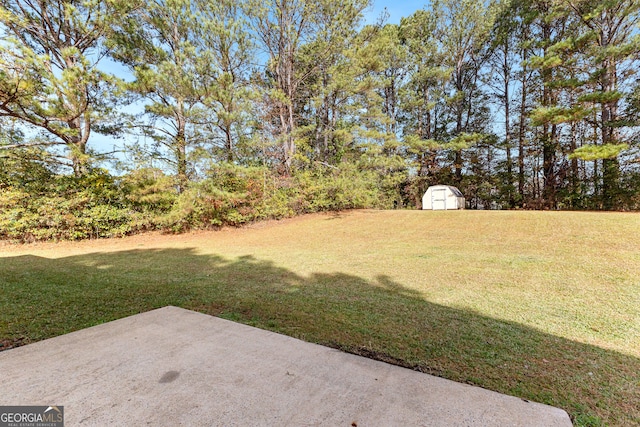 view of yard featuring a patio and a storage shed