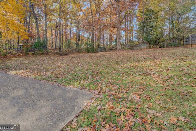 5267 Tasman Trl, Lithonia, GA 30038 - view of yard