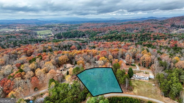 birds eye view of property featuring a mountain view