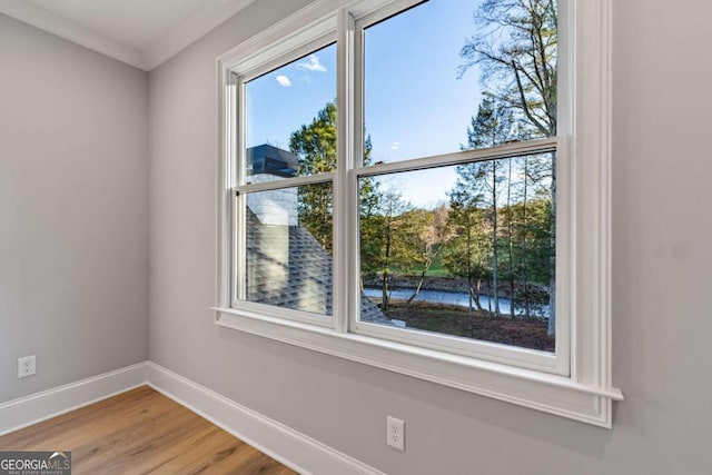 details with hardwood / wood-style flooring and ornamental molding