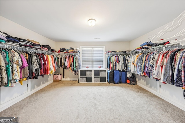 spacious closet featuring carpet