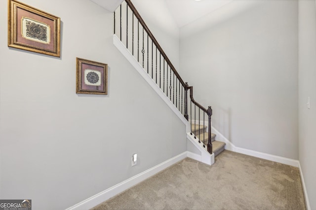 stairs featuring carpet flooring