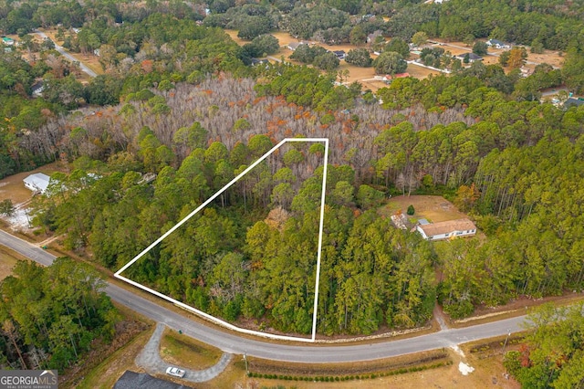 LOT14 Poppell Farms Dr, Darien GA, 31305 land for sale