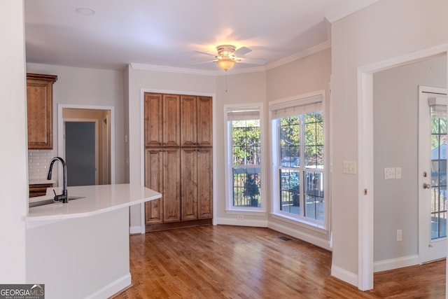 kitchen featuring hardwood / wood-style floors, plenty of natural light, and sink