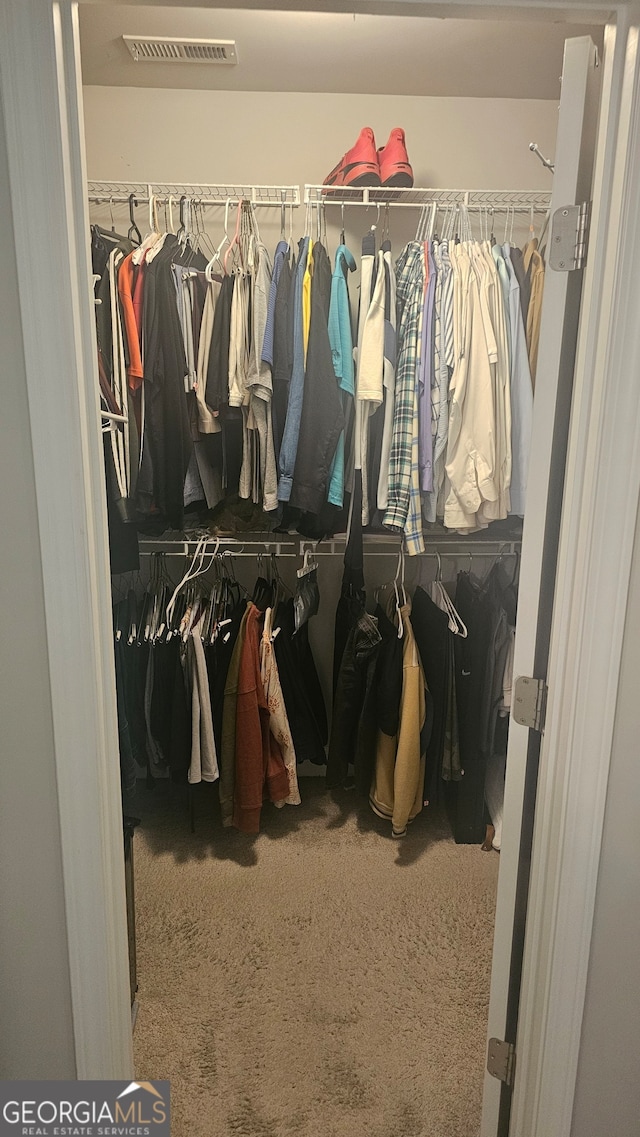 spacious closet with carpet floors