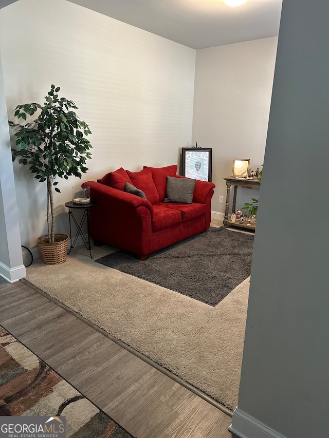 living room with wood-type flooring