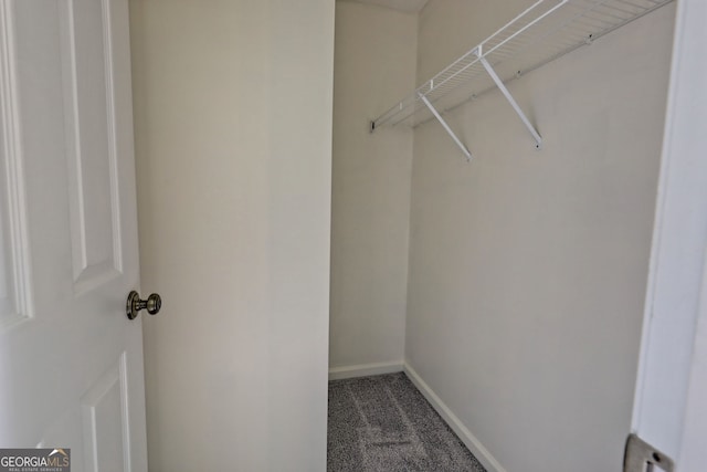 walk in closet featuring carpet floors