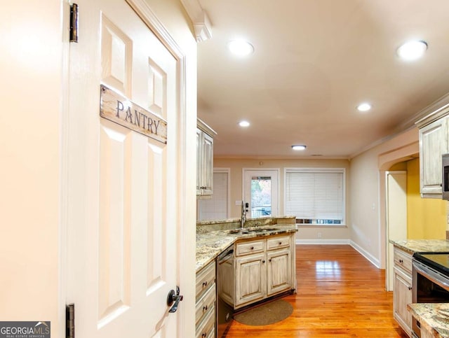 kitchen with light hardwood / wood-style floors, light stone counters, stainless steel appliances, and sink