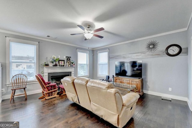 living room featuring dark wood-type flooring, crown molding, ceiling fan, and a healthy amount of sunlight