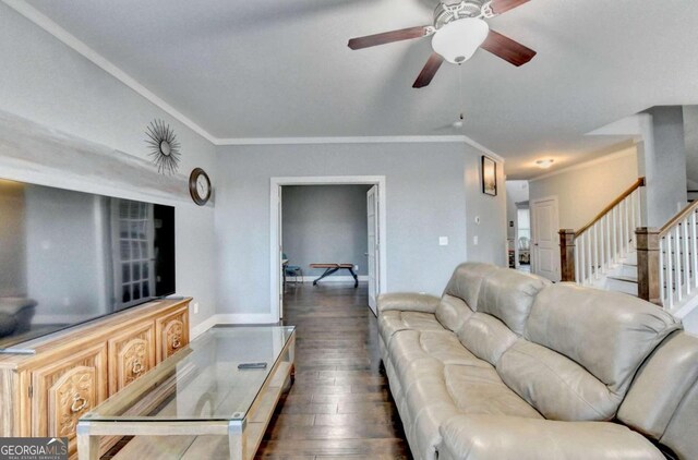 living room with ceiling fan, dark hardwood / wood-style flooring, and crown molding