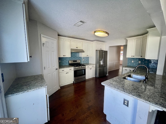 1529 Evergreen Hollow Ln, Conyers, GA 30012 - kitchen featuring stainless steel appliances, a sink, under cabinet range hood, tasteful backsplash, and light stone countertops