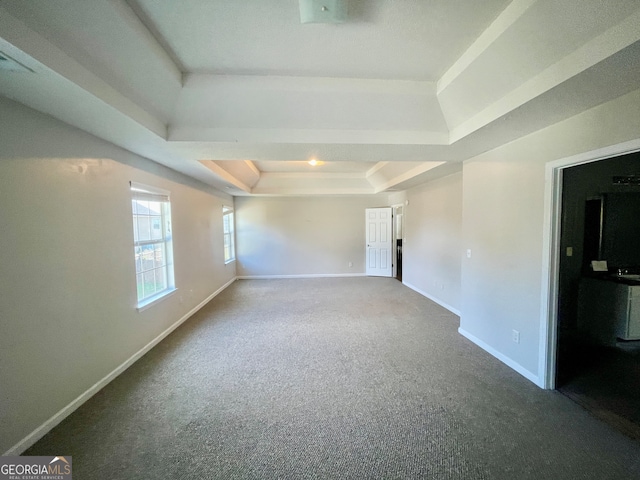 spare room featuring carpet flooring and a tray ceiling