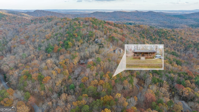 drone / aerial view featuring a mountain view