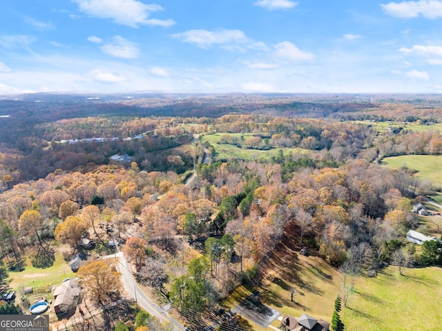 bird's eye view