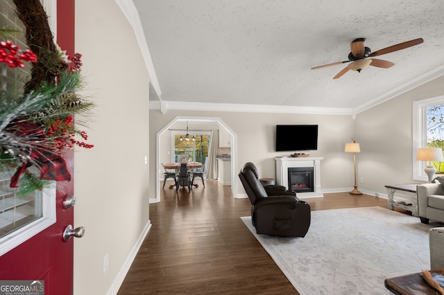 living room with a textured ceiling, ceiling fan with notable chandelier, ornamental molding, and dark wood-type flooring