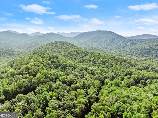 view of mountain feature