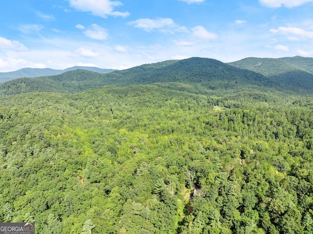 property view of mountains