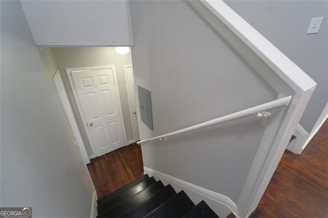 stairway with wood-type flooring