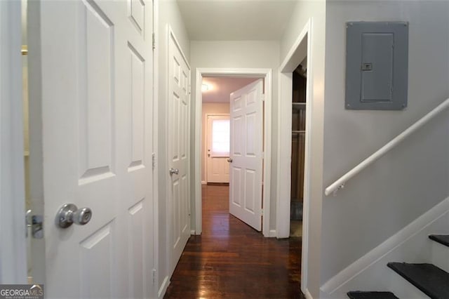 hallway with electric panel and dark wood-type flooring