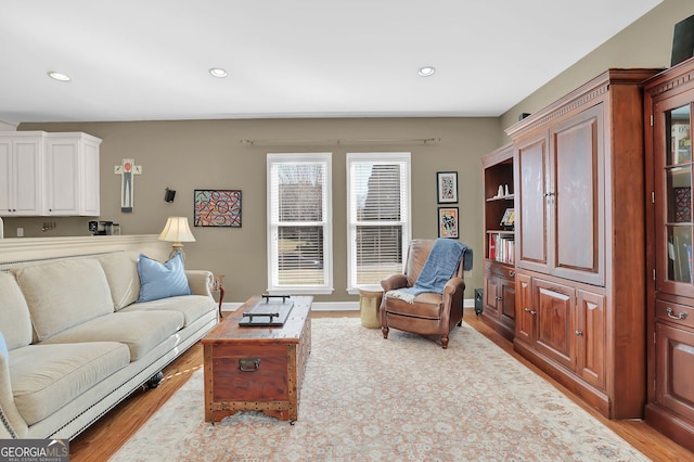 living room featuring light hardwood / wood-style flooring