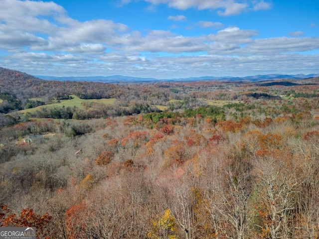 view of mountain feature