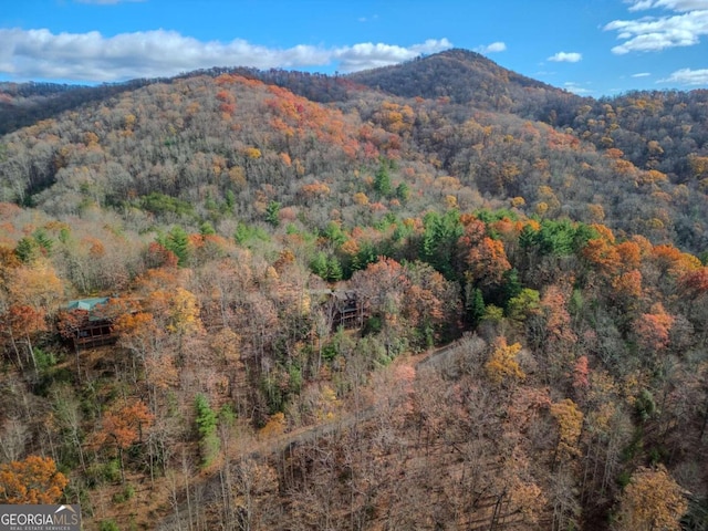 property view of mountains