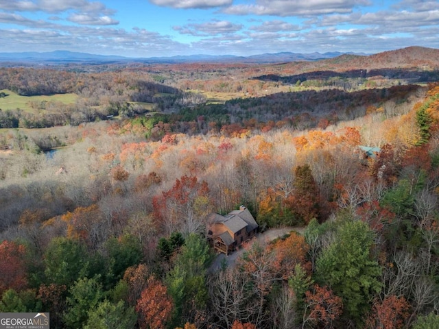 bird's eye view with a mountain view