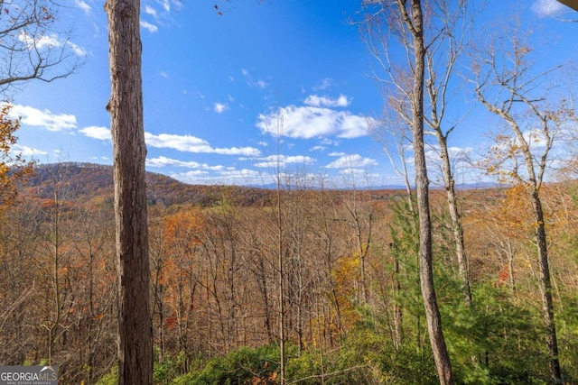 property view of mountains