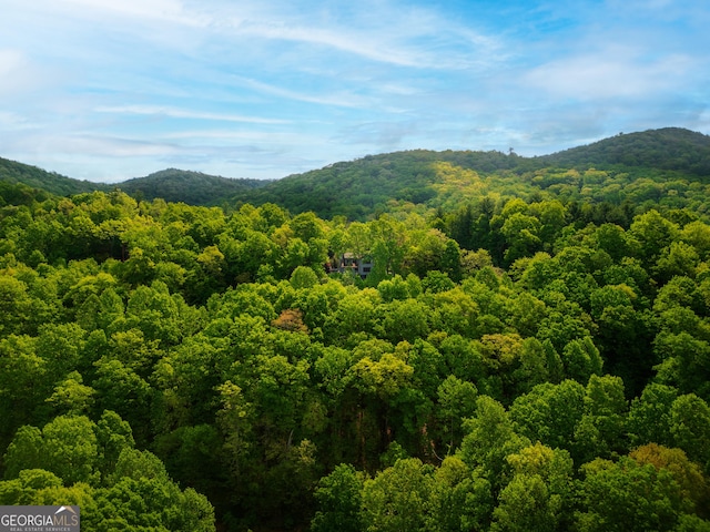 view of mountain feature featuring a wooded view