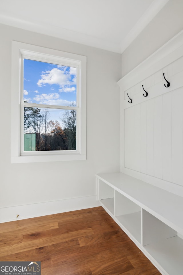 mudroom with wood-type flooring and ornamental molding