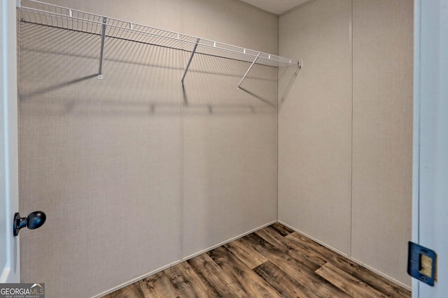 walk in closet featuring wood-type flooring