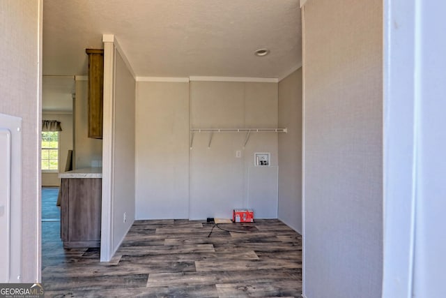 clothes washing area featuring crown molding and dark hardwood / wood-style floors