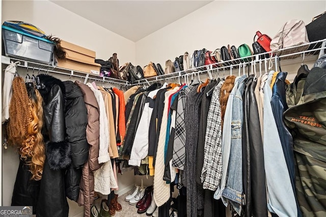 view of spacious closet